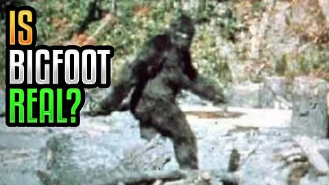 Is Bigfoot Real?