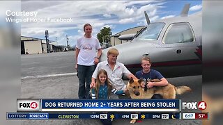 Colorado dog reunited with Florida family after 2017 theft