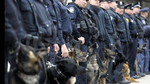 Fascinating quick history of Police K9 Units
