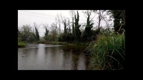 Gentle rain on a secluded slow moving river, calming sounds of nature to help you sleep better