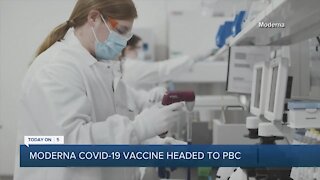 Palm Beach County expecting coronavirus vaccine arrival this week