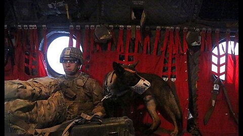 Merry Christmas! Air Force NCO Reunited With His Dog After Two Years