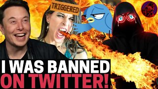 I Was BANNED ON TWITTER And Caught It ALL ON VIDEO! The Crew REACTS And Asks ELON To REINSTATE!