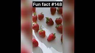 Strawberries are what?