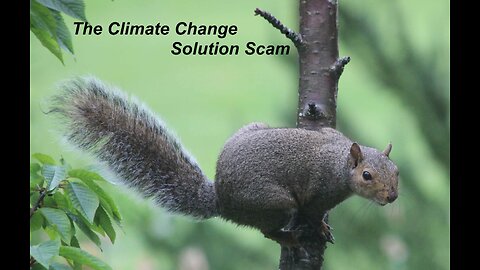 The Climate Change Solution Scam