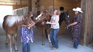 Local 4H trained wild horse adoption happens on Sunday