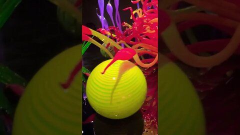 Amazing #Chihuly Glass Sculptures Part 2 #shorts