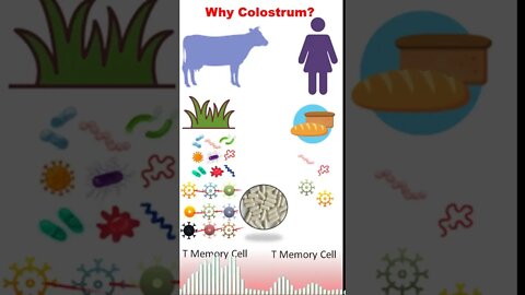 Why use colostrum to boost immunity?