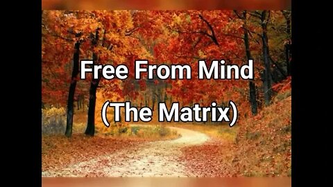 Night Musings # 309 - Escaping The Matrix. Exploring What Being Free From Mind Might Feel Like.