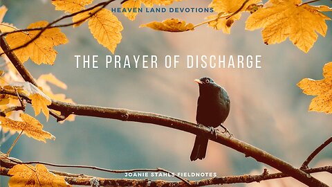 Heaven Land Devotions - The Prayer of Discharge