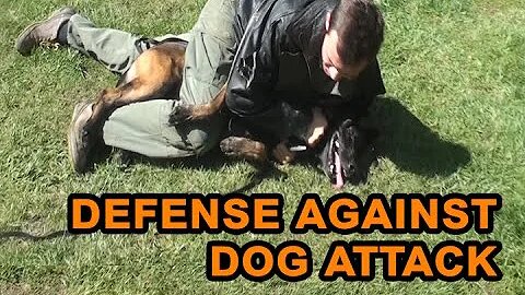 How to: Self defend against a dog attack