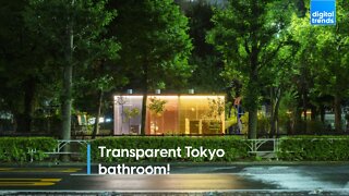 Transparent Tokyo bathroom!