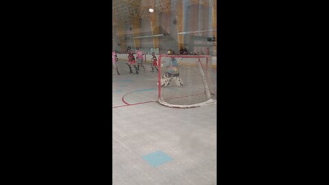 poke save #hockey