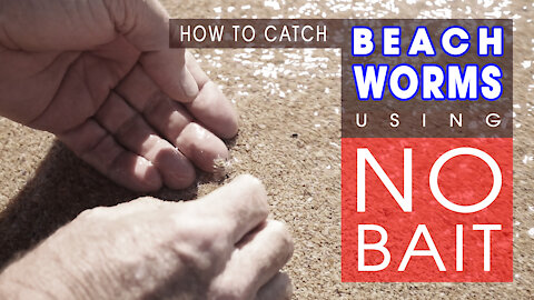 How To Catch Beach Worms With NO BAIT!
