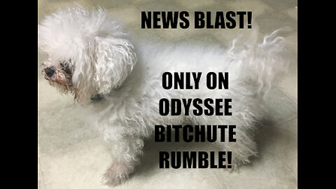 Rumble/Odysee/Bitchute Exclusive Hot Take! Easter News Blast!