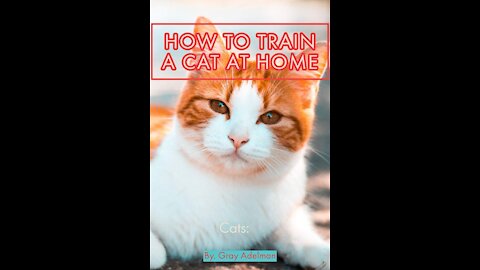 Cats 101 Basic Cat Training Tricks