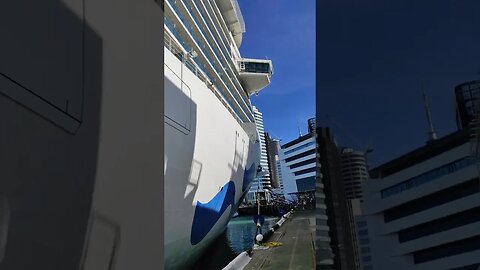 Cruiseliner Royal Princess (2)