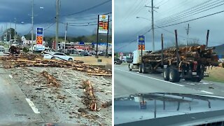 Logging truck spills load all over highway, causes massive damage