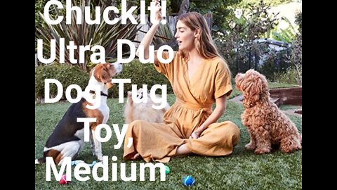 ChuckIt! Ultra Duo Dog Tug Toy, Medium
