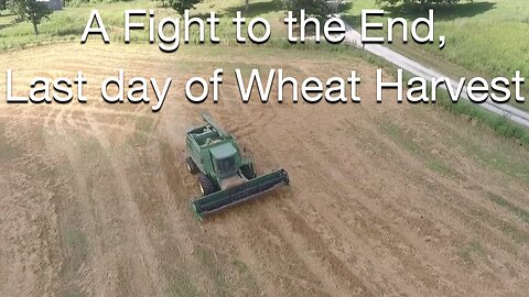 A Fight to the End, Last day of Wheat Harvest