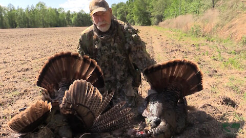 Season 1, Ep 01: Hogs for Turkeys | Altamaha River Sportsman