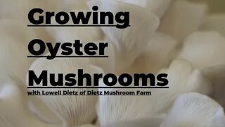 Growing Oyster Mushrooms Indoors