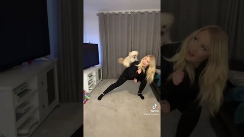 Cute dog’s perfect little dance routine