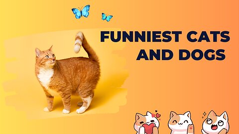 You Laugh You Lose 😂 Funniest Cats and Dogs 2023 😻🐶