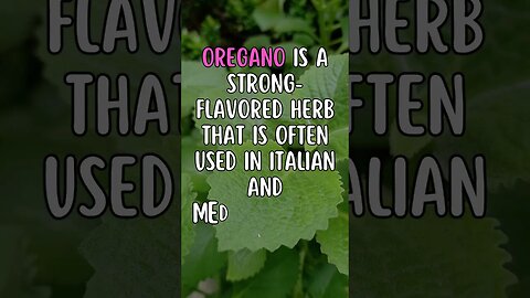 🌿Who Knew This Fact About Plants?#Shorts #ShortsFact #Plants #PlantFacts #oregano #italiancuisine