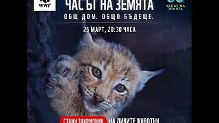 WWF Много служители на изпълнителната власт се занимават с незаконен лов