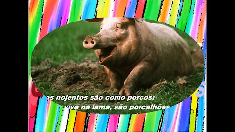 Amigos nojentos são como porcos: Vivem na lama, são porcalhões! [Frases e Poemas]