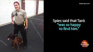 K9 officer finds missing boy with autism on his first day on the job