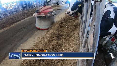 'We must act now': Wisconsin is losing dairy farms at an alarming rate