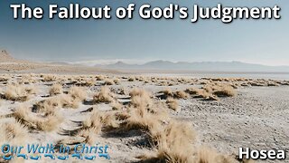 The Fallout of God's Judgment