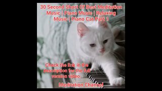 30 Second Short Of Best Meditation Music | Piano Music | Relaxing Music | Piano Cat Part 1 #shorts