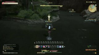 Final Fantasy XIV Online Listen to Your Fish