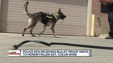 Police K-9's receiving bulletproof vests to honor fallen Sgt. Collin Rose