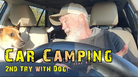 Car Camping With My Dog / Subaru Outback / Overnight Car Camping