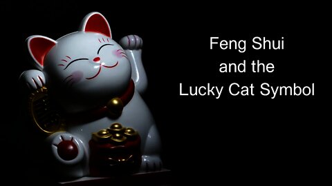 Lucky Cat #luckycat #luck #success #wealth #money