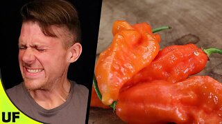 Ghost Pepper Taste Test | Unusual Foods