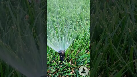 Relaxing Lawn Sprinkler Sounds 💦 Soothing Water & Piano Music #nature #relaxing #relaxingsounds