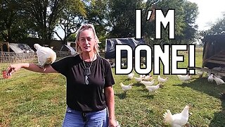 After 2 Years With Chickens