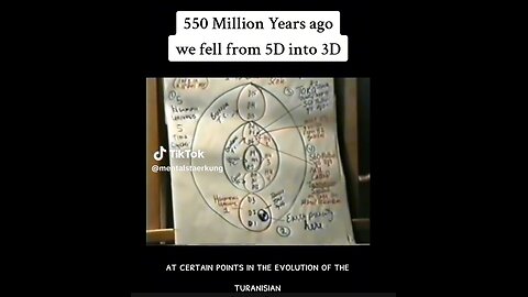 Ashayana Deane: 550 Million Years ago we FELL FROM 5D into 3D. At Certain Points in the EVOLUTION o