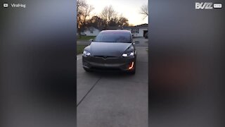 Cette Tesla est customisée pour Noël!