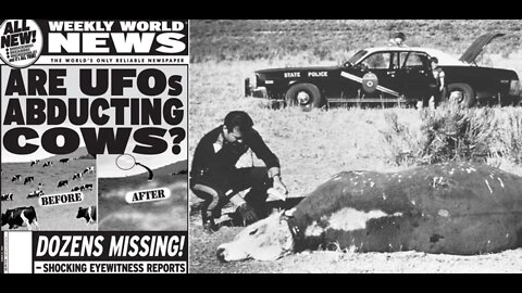 Cow Mutilations Investigator Gets Real With What's Really Going On- Gail Staehlin