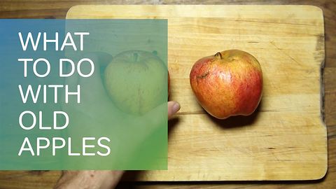 Waste not want: what to do with old apples