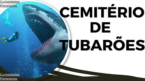 O MISTERIOSO CEMITÉRIO DE DENTES DE TUBARÕES ENCONTRADOS – TEM LIGAÇÃO COM O MEGALODONTE! #megalodon