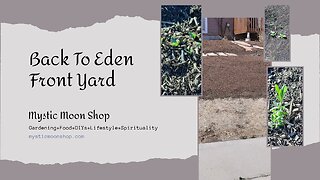 Back To Eden Front Yard - No More Grass!