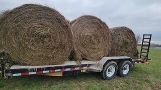 Did I spot an old Farmall while I was hauling hay?