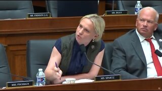 Ukrainian Born Rep Victoria Spartz Rips Gun-Grabbing Democrats